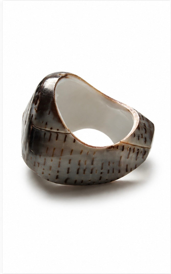 Nautilus Shell Ring