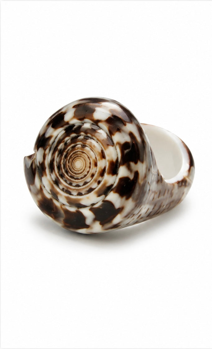 Nautilus Shell Ring