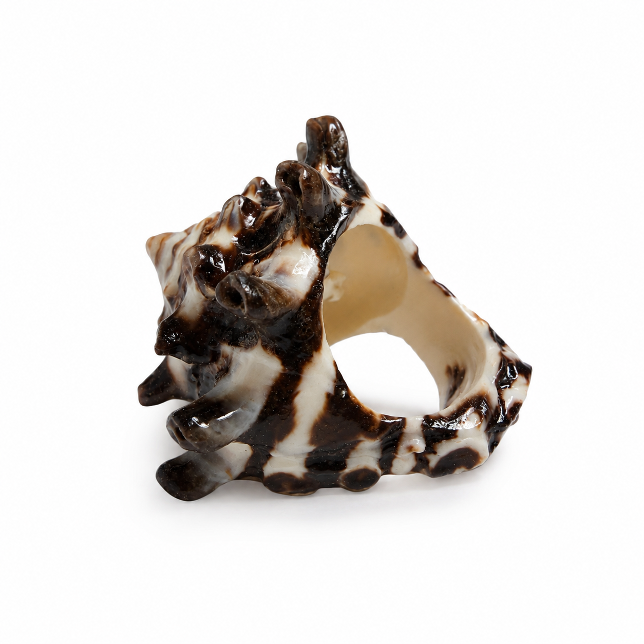 Shell Ring Star Murex