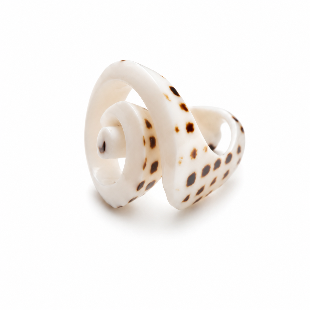 Spiral Point Shell Ring