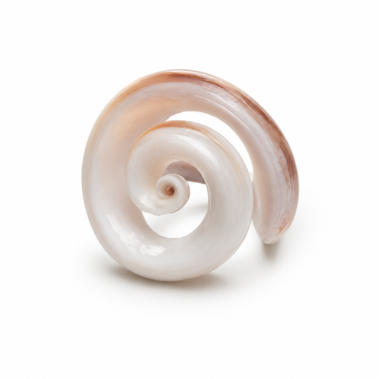 Spiral Bone Shell Ring