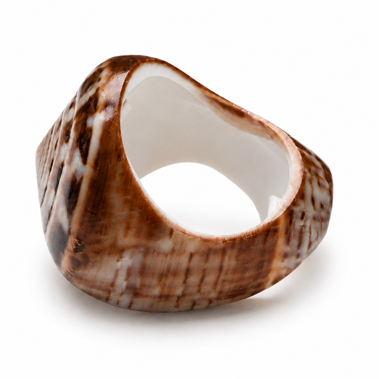 Nautilus Shell Ring Light brown